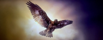 Celebrate the return of the light with us and start the year 2025 full of strength with the healing rite